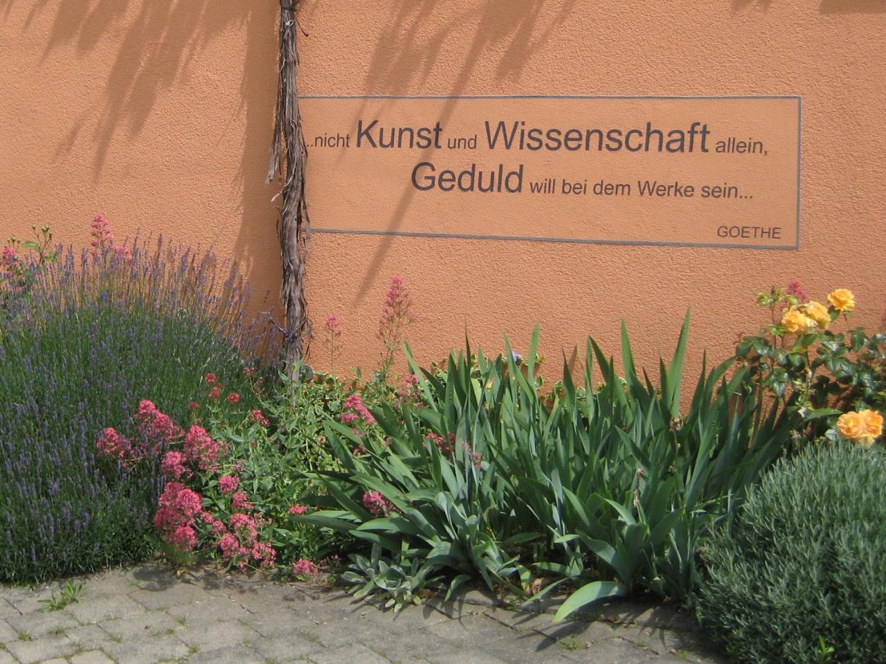 Hotel Weinhof am Nussbaum Willanzheim Exterior foto